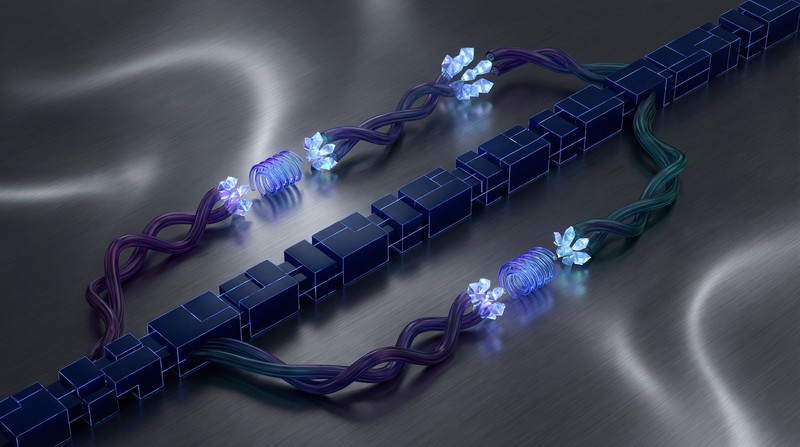 Layer 2 Scaling Solutions: A Comparative Analysis